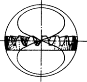 X݆g(sh)Z(y)FX݆(zhn)pX݆X݆